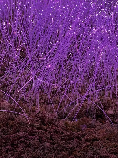 RGB Color Changing Fiber Optic Grass Light with 50000 Hours Lamp Life and IP44 Protection for Outdoor Decoration