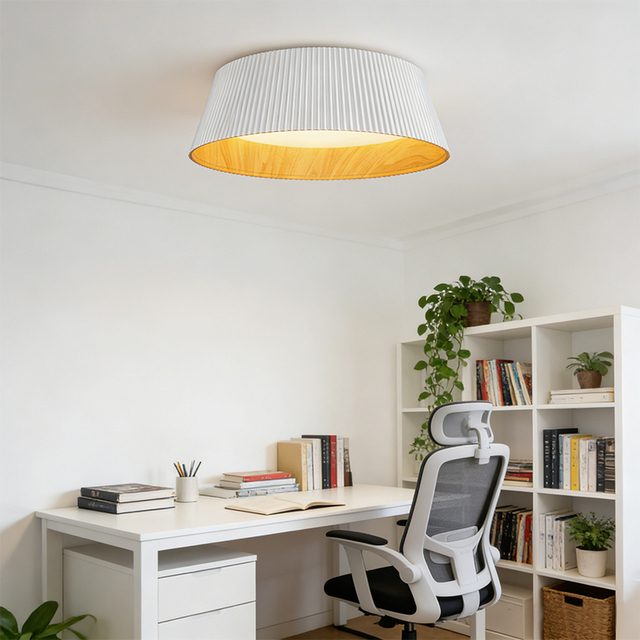 Modern Style LED Ceiling Light with 110-240V Voltage and 2 Years Warranty for Indoor Home Bedroom