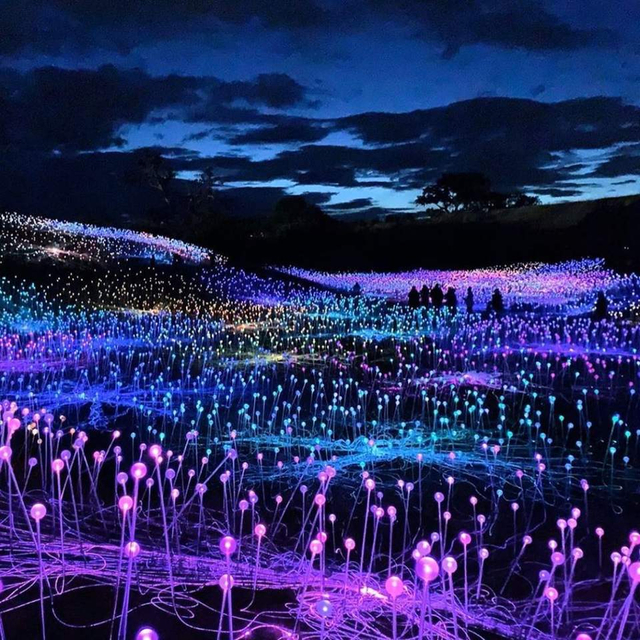 Outdoor Fiber Optic Lighting with 5-Year Warranty RGB Color Changing and Waterproof Design for Holiday Decoration