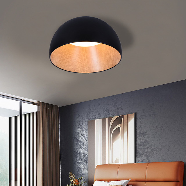 Modern Simplism Style LED Ceiling Lamp with 110-240V Voltage and 2 Years Warranty